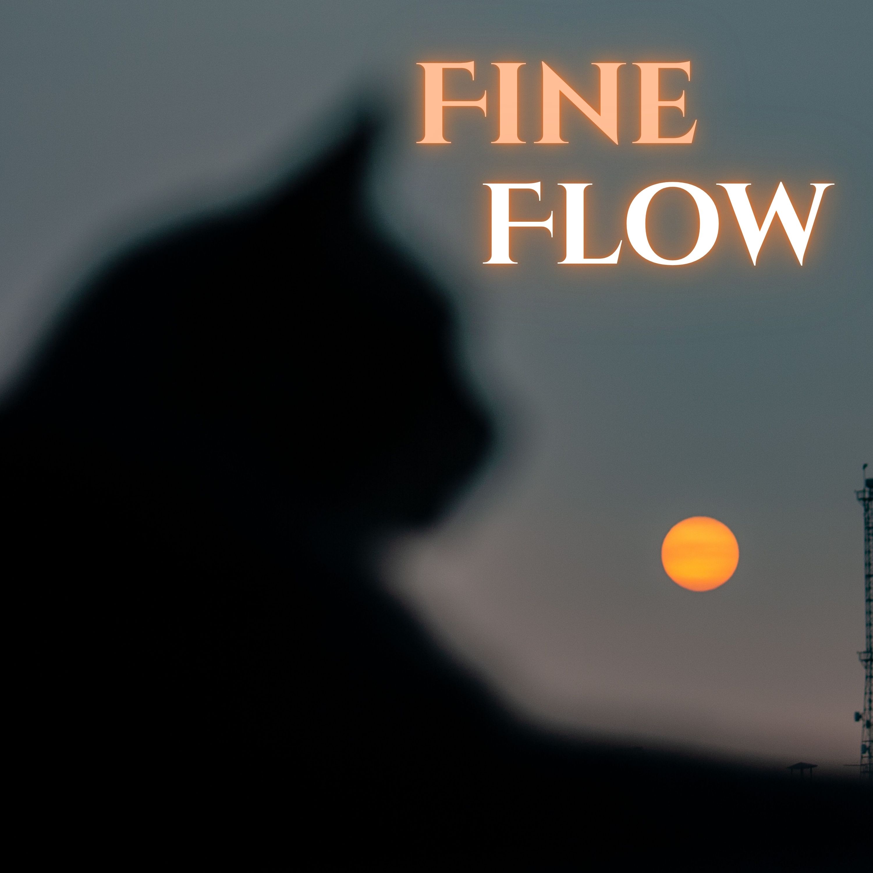 Fine Flow